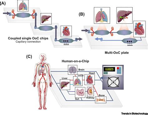 تصویر کا نتیجہ برائے Chip with Multi Source
