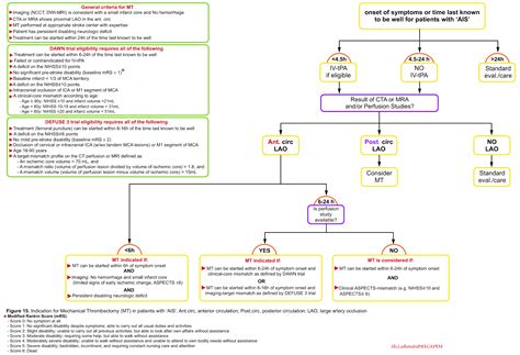 Image result for Stroke Treatment Algorithm