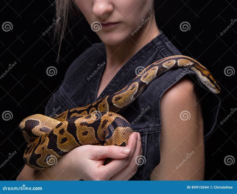 Image result for Python Houden