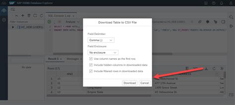 SQL Query in Hana に対する画像結果