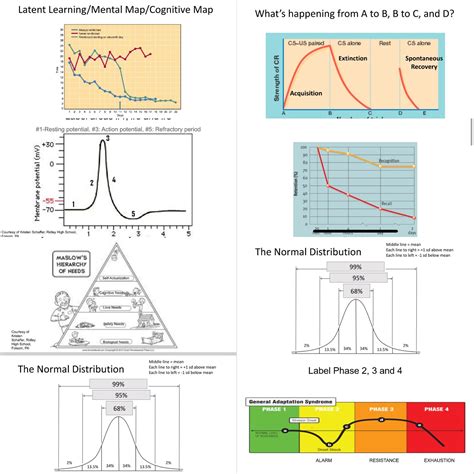 Psych Study with Complex Graph に対する画像結果