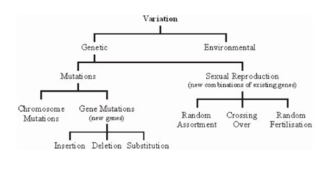 Image result for Different Types of Variation Biology
