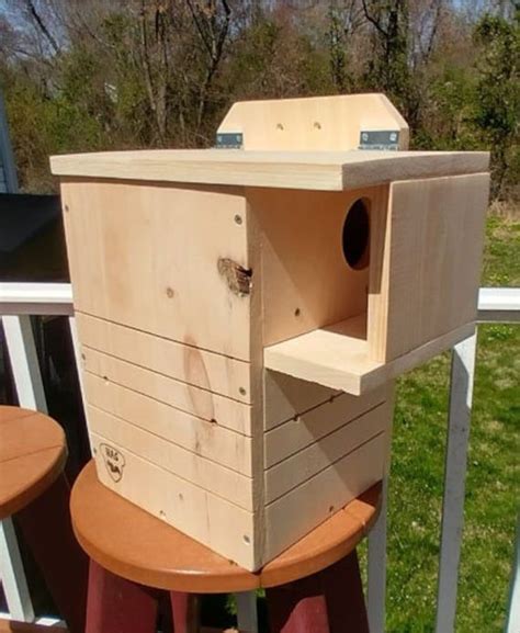 Fox Squirrel Nest Box に対する画像結果
