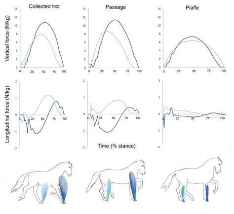 Ground Reaction Force Graph માટે ઇમેજ પરિણામ