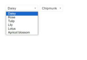 Image result for CSS Styling SelectList