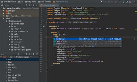 Image result for JetBrains WebStorm Website Review