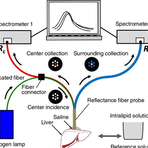 Image result for Diffuse Reflectance Spectroscopy System Assembly