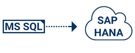 Image result for SAP Business One SQL