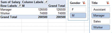 Afbeeldingsresultaten voor Excel PivotTable Filter
