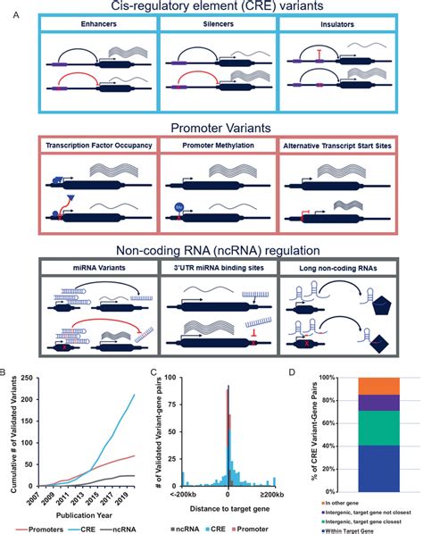 Toradh íomhá ar Non-Coding Variants