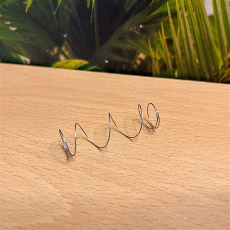 Image result for Neuma Four Spring