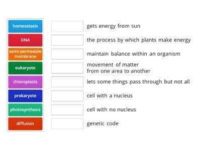 Image result for Popular Cell Processes