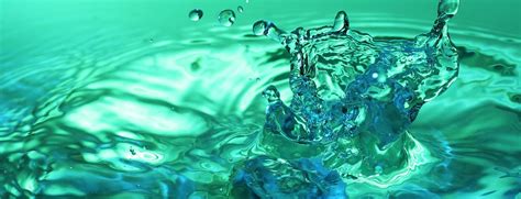 Image result for Hydroponic Begineer