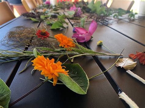 Toradh íomhá ar Creatie Program