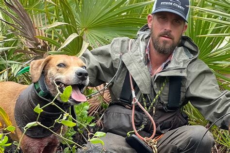Toradh íomhá ar Python Hunting Pig