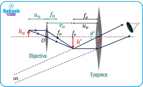 Optical Microscope Magnification に対する画像結果