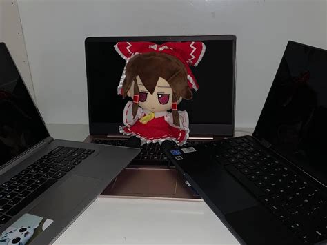 Toradh íomhá ar Reimu Gaming