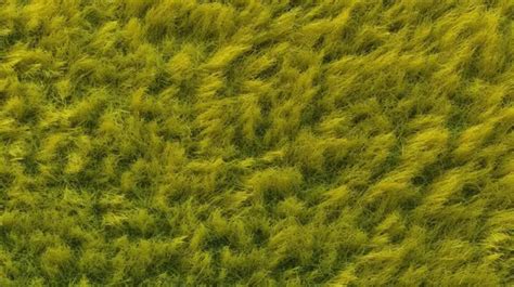 Golf Turf Graphic に対する画像結果