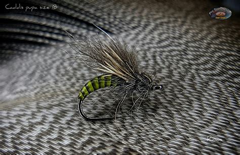 Image result for Caddis Emerger Fly Pattern