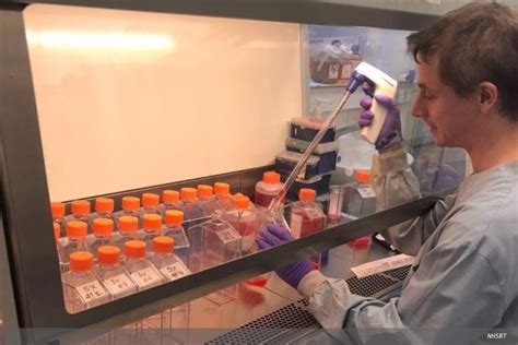 Image result for Differnt Cells Lab