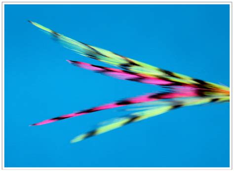 Fly Tying Tips に対する画像結果