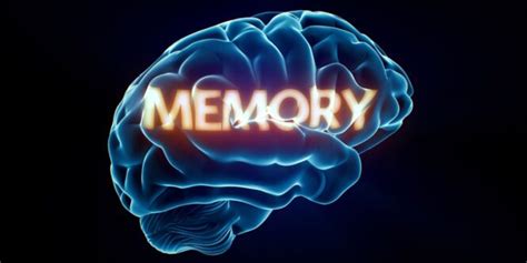 Image result for Short-Term Memory