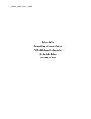 Image result for Short-Term Memory Concept Map