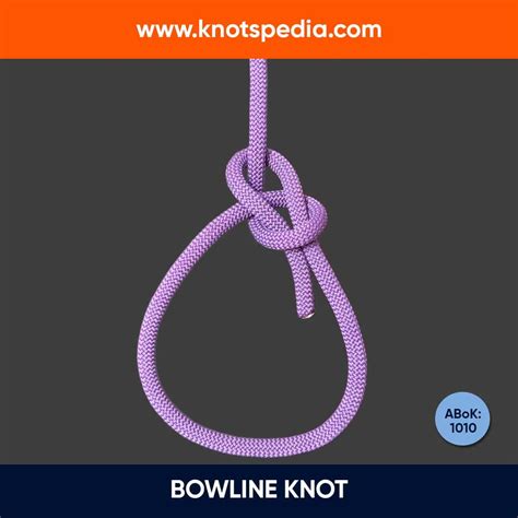 Image result for Bowline Knot Diagram