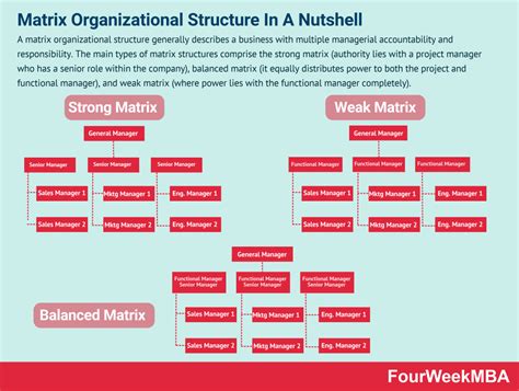 Image result for Matrix Org Structure