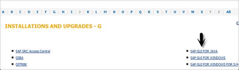 Image result for SAP GUI Upgrade