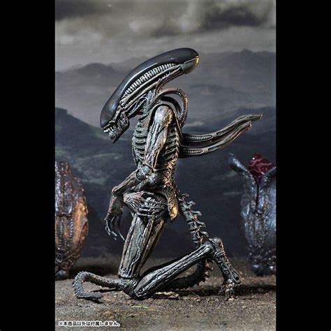 Image result for Alien Covenant Xenomorph Toys
