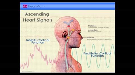 Image result for HeartMath Org
