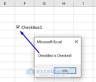 Résultat d’images pour Excel VBA CheckBox1