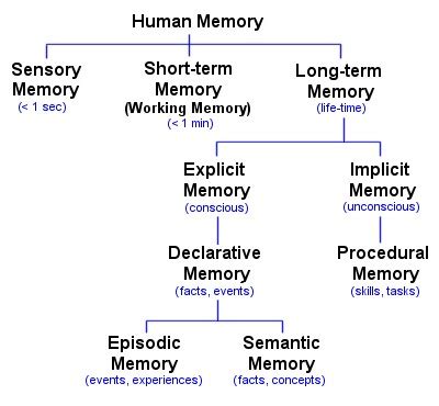 Afbeeldingsresultaten voor Types of Memory