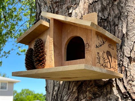 Fox Squirrel Nest Box に対する画像結果