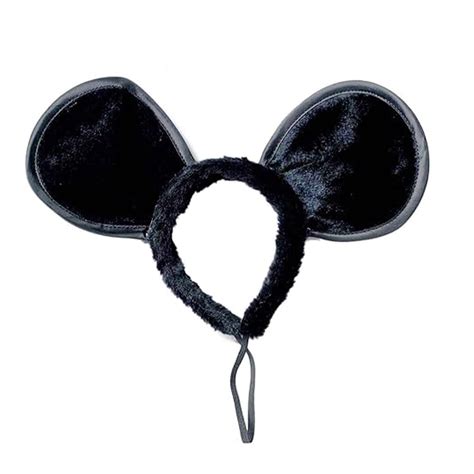 Image result for Mouse Ears Computer