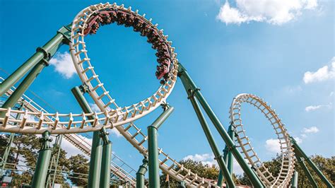 Image result for Python Efte