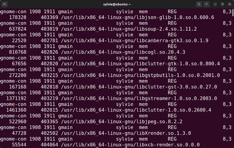 Toradh íomhá ar Lsof Java Result