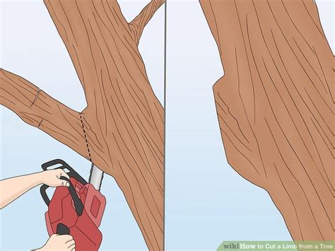 Image result for How to Cut Down a Tree Limb