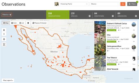 Image result for iNaturalist Map Color Chart