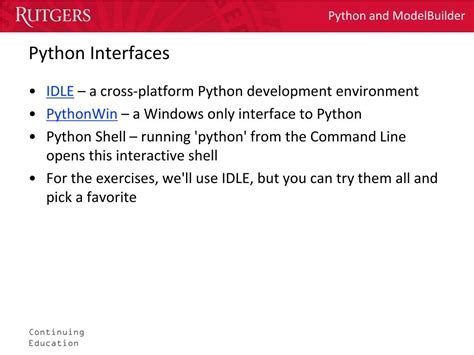 Image result for Python Coding Interface