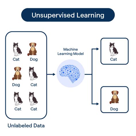 Unsupervised Machine Learning Examples に対する画像結果