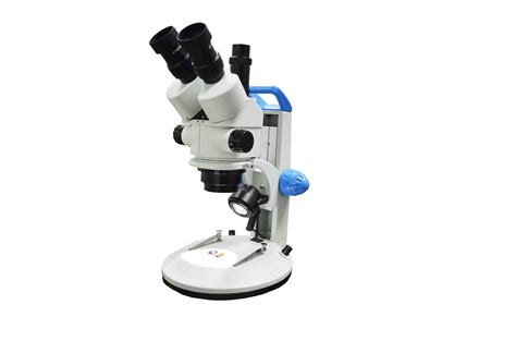 Toradh íomhá ar Field of View On a Microscope