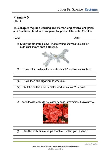 Image result for Science Cell Worksheets
