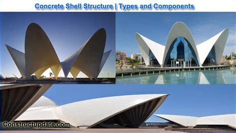 Image result for Shell Structures Grade 5