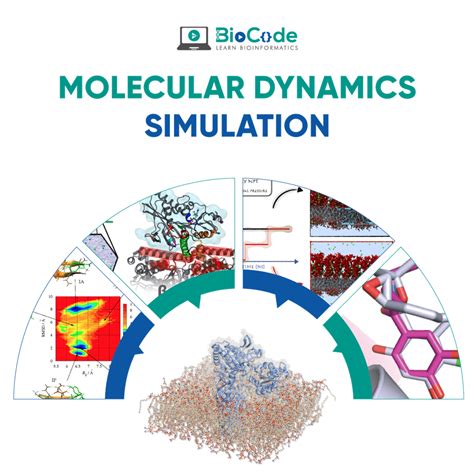 Image result for Molecular Dynamics Simulation