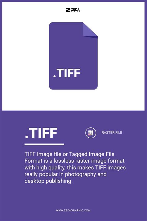 Graphic Design File Structure に対する画像結果