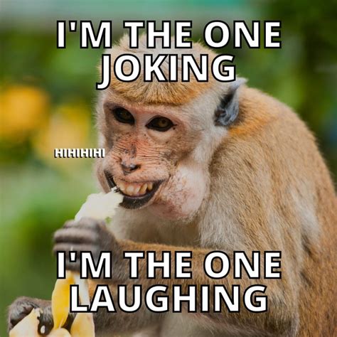 Why Meme に対する画像結果