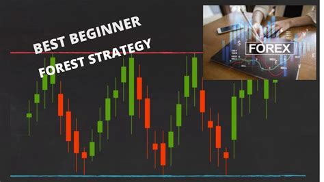 Forex Trading Strategy for Beginners に対する画像結果