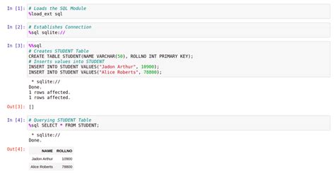 Toradh íomhá ar How to Connect Microsoft SQL to Jupyter Python